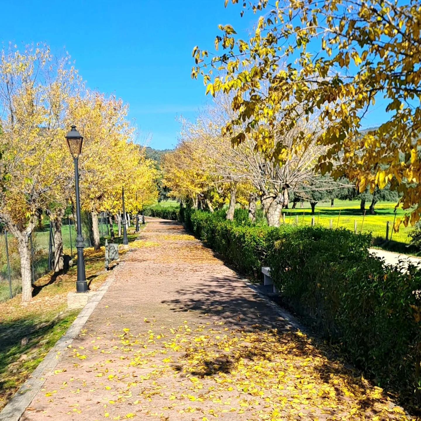 Casa El Frenazo Guest House Garciotum Luaran gambar